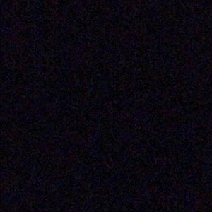 Meet your Posher, Abbey